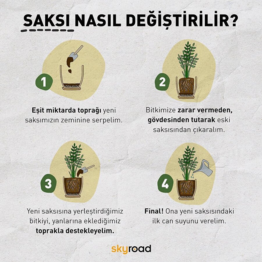 Saksı nasıl değiştirilir? ?