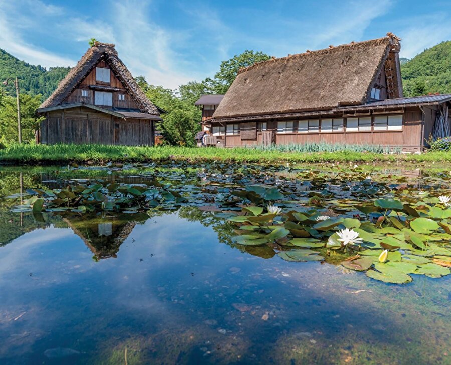 Shirakawa-go, Japonya'nın orta kesimindeki Gifu ve Toyama prefektörlüklerinin sınırında uzanan Shogawa Nehri vadisinde bulunan tarihî köydür.
