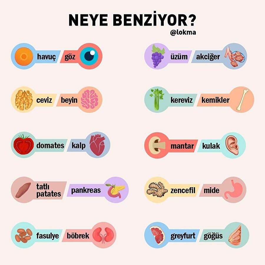 ​Neye benziyor? 🤔