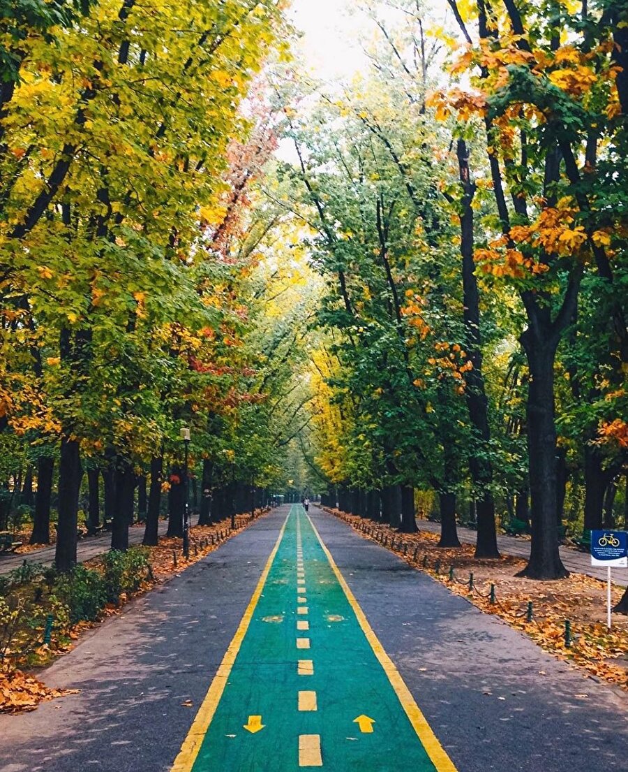 Gündüzlerin kısalıp gecelerin uzadığı günlerde Bükreş! 🍂
