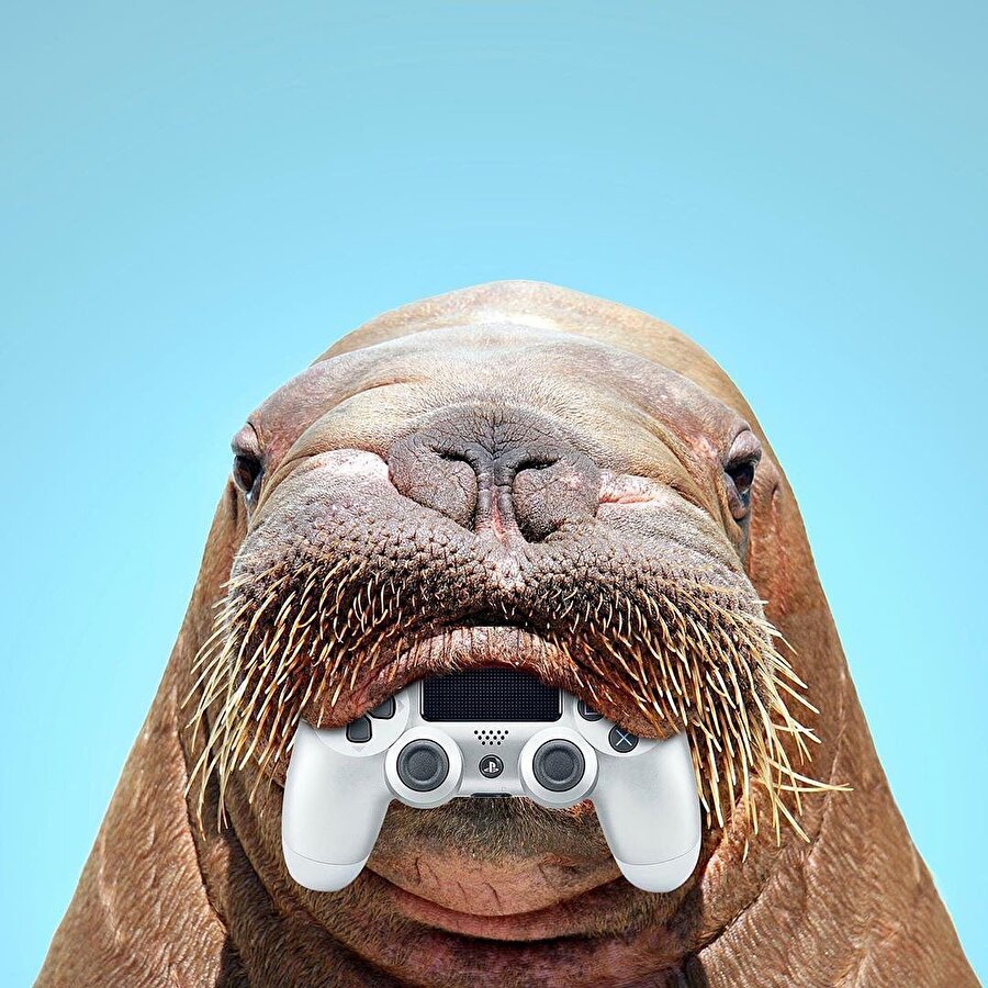 Kolaj sanatına bayılıyoruz! 😍