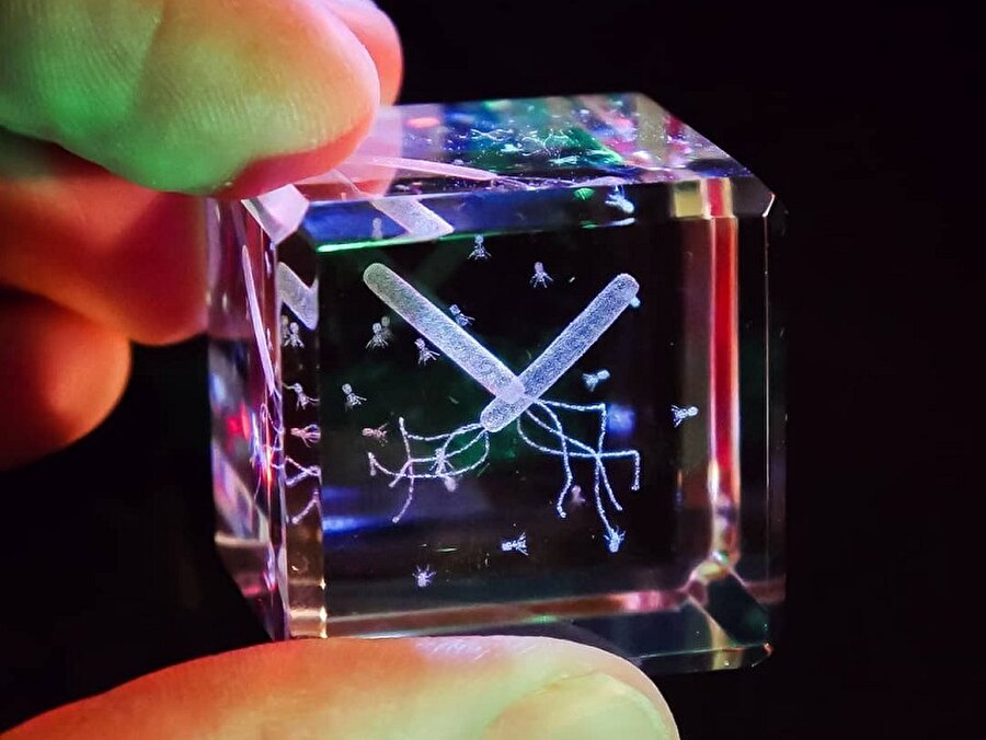 Sevdiklerine virüs, bakteri ya da hücre hediye etmek ister miydin? 👀⠀