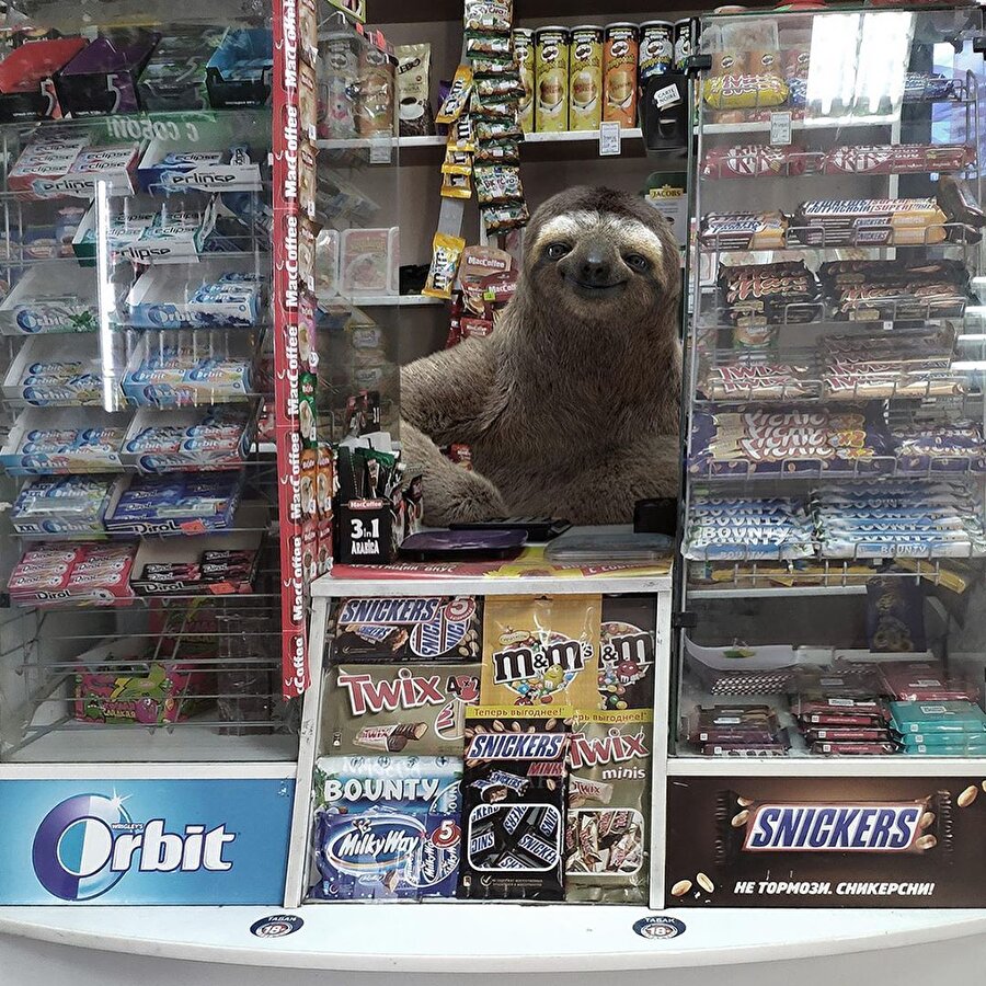 Minik bi’ St. Petersburg turu yapalım 🤭