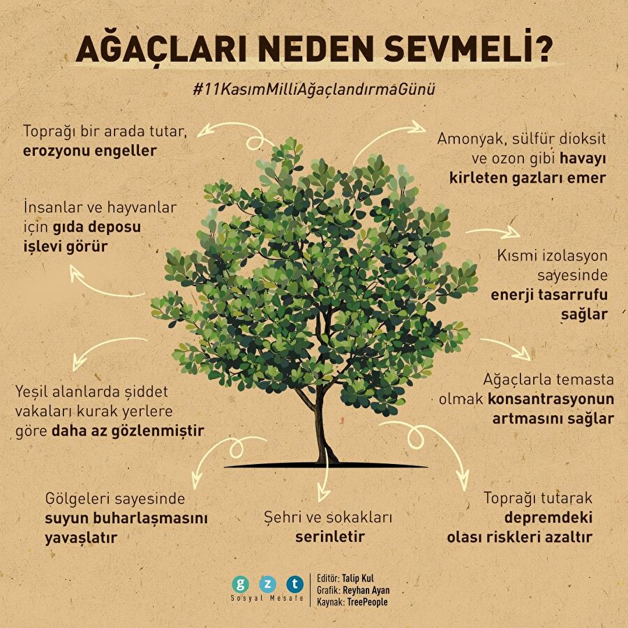 Ağaçları neden sevmeli?
