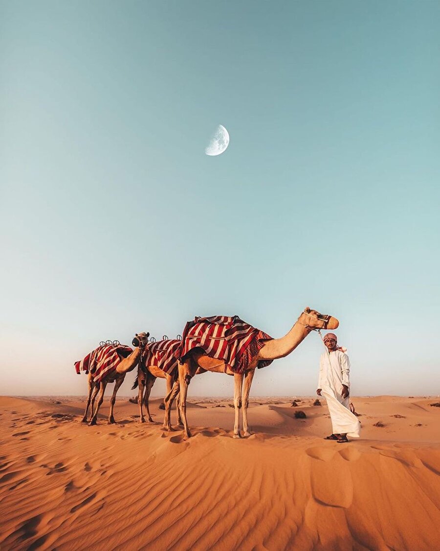 Nedir bu çöl denilen? 🏜