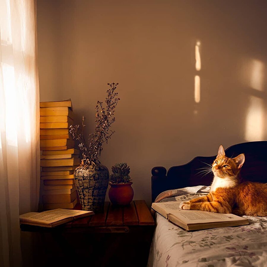 Kısa ve öz 4 kitap 📚