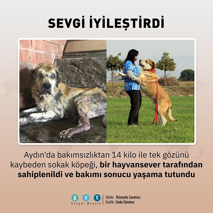 Sevgi iyileştirdi: 6 ayda 14 kilodan 65 kiloya çıktı