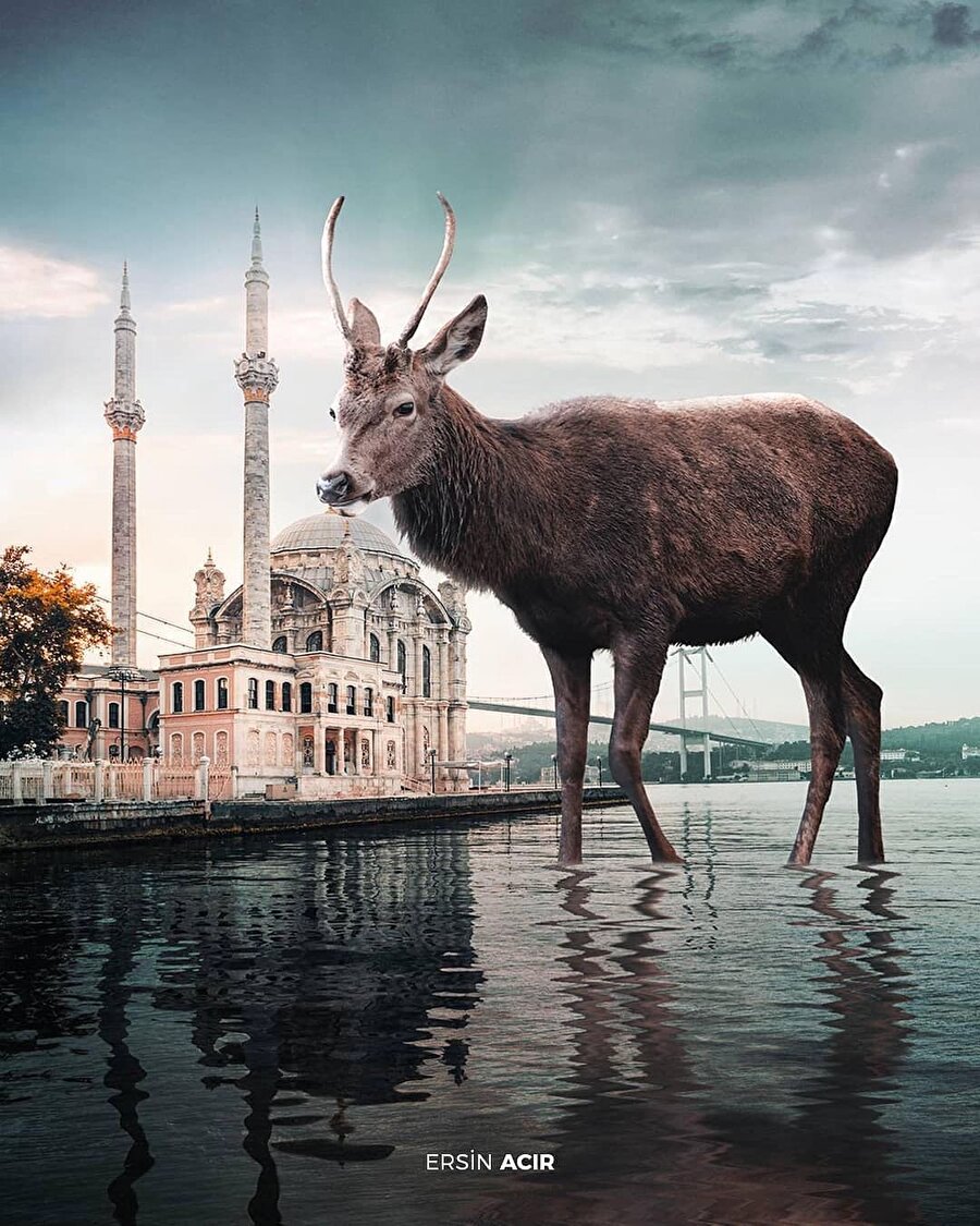 Beklenmedik sahnelerle karşılaşmaya bayılıyoruz 🤗