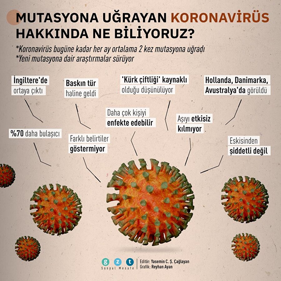 Koronavirüs mutasyona uğradı: Peki şimdiye kadar bildiklerimiz neler?
