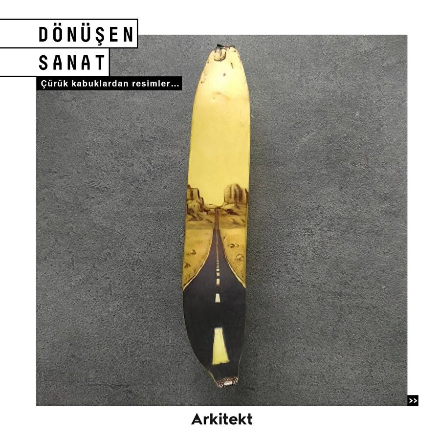 Çürük kabuklardan resimler 