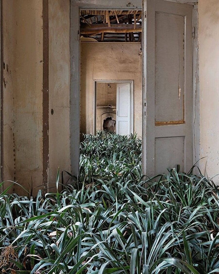 Doğanın ele geçirdiği mekanlar