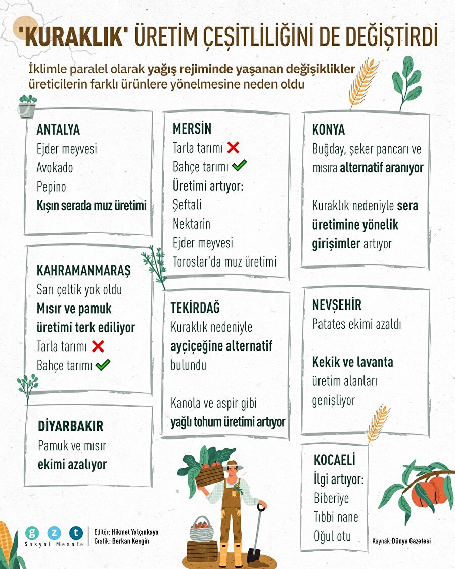 'Kuraklık' üretim çeşitliliğini de değiştirdi 