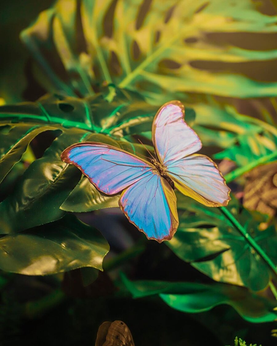 Konya’dan selamlar 🙌