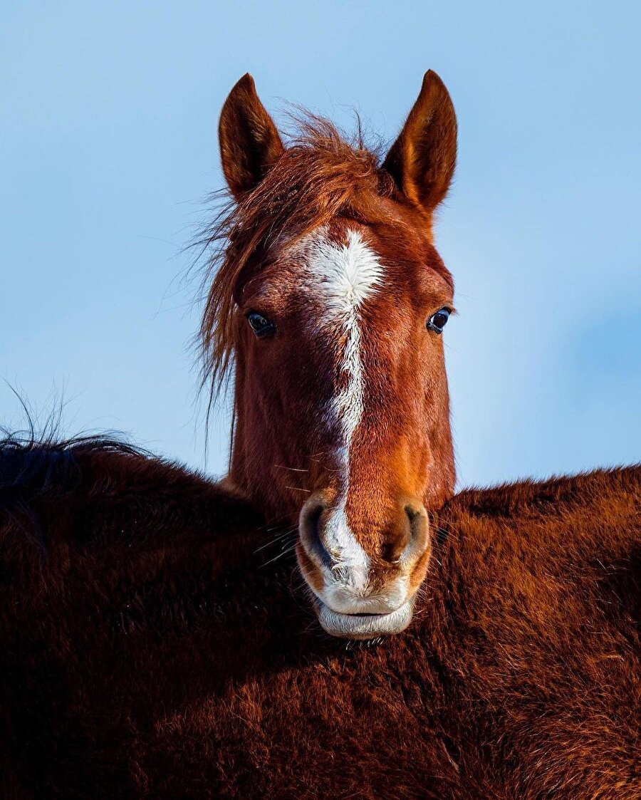 Hafta sonunu güzel başlasın istedik, bu güzelliklerle geldik 😌🧡⠀