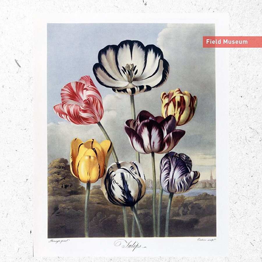 Akımın sanat hali 🎨