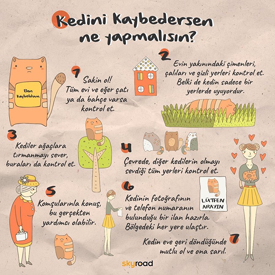 Kedini kaybedersen ne yapmalısın? 😿