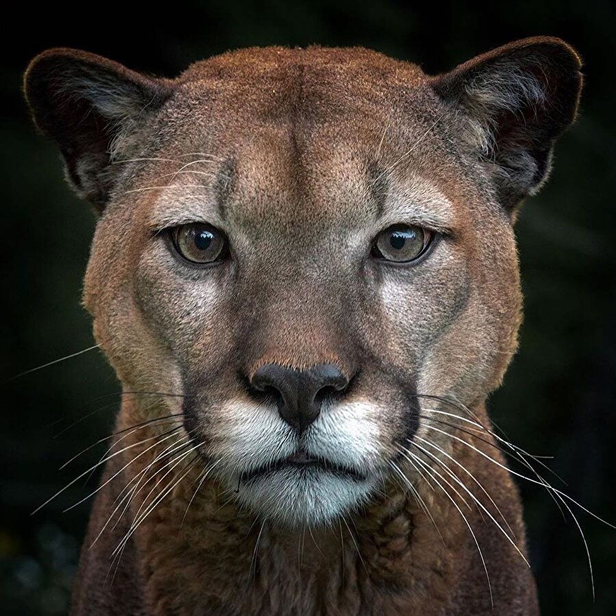 Burak Doğan Soysal'ın gözünden📷