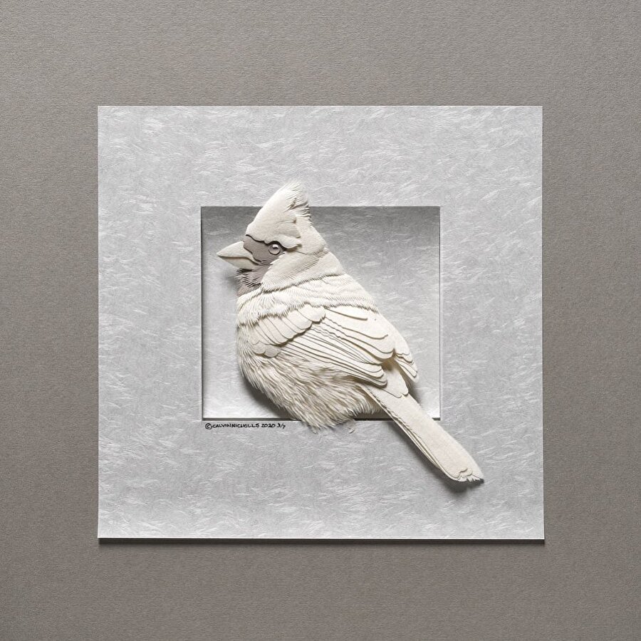 Kağıdın sanata dönüşü 🕊