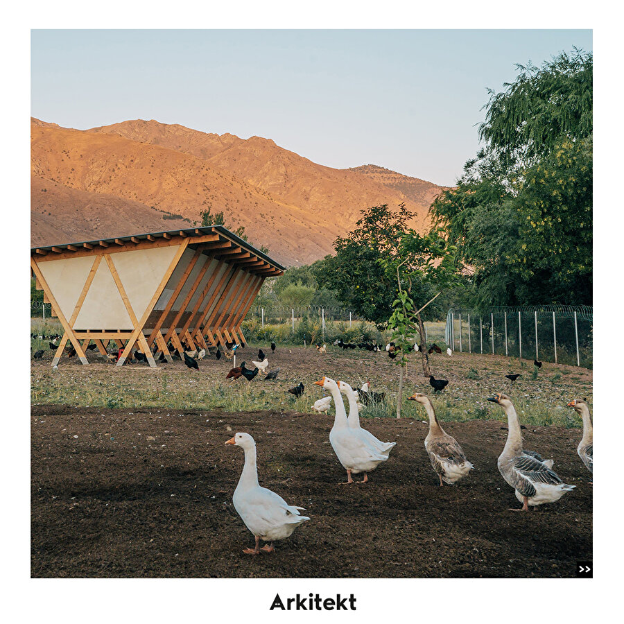 Mimari koleksiyon: Tavuk Evi