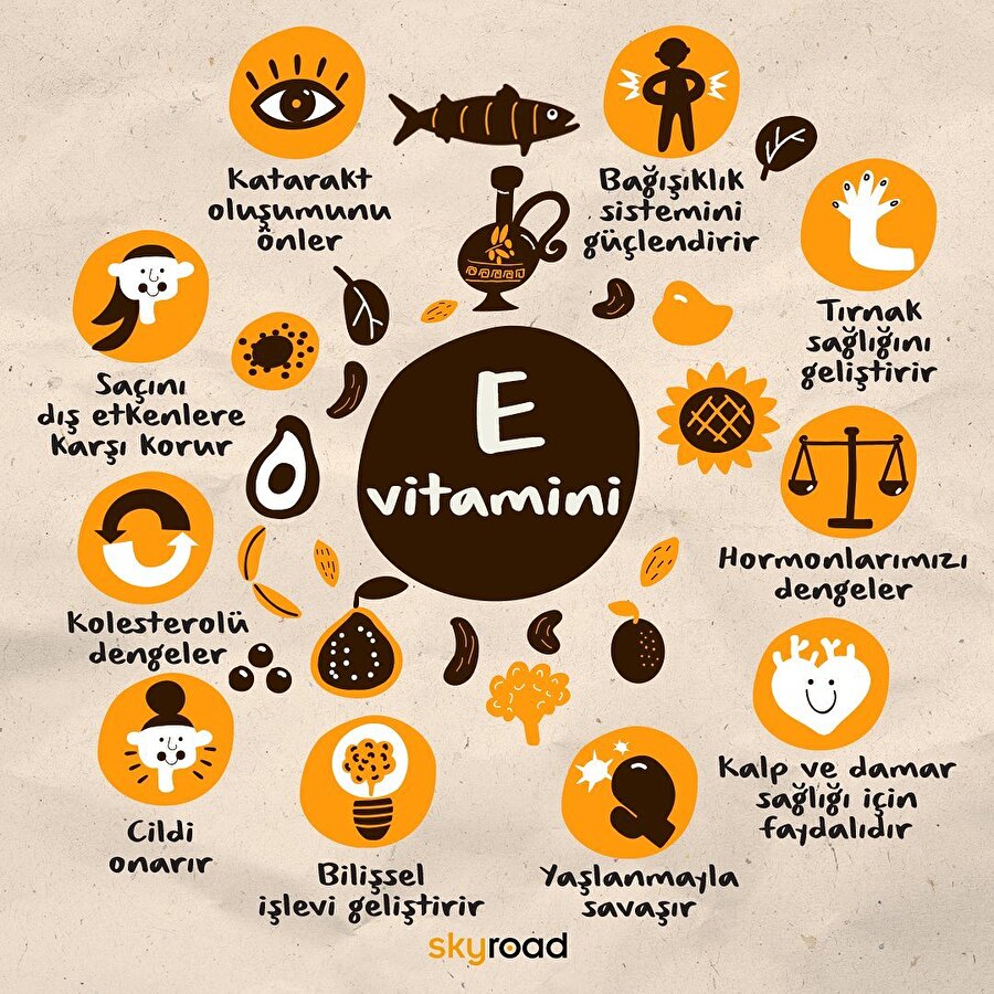 E vitamininin faydaları 🙌🏻