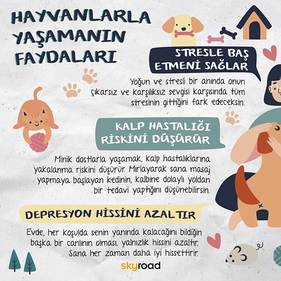Hayvanlarla yaşamanın faydaları 🐶
