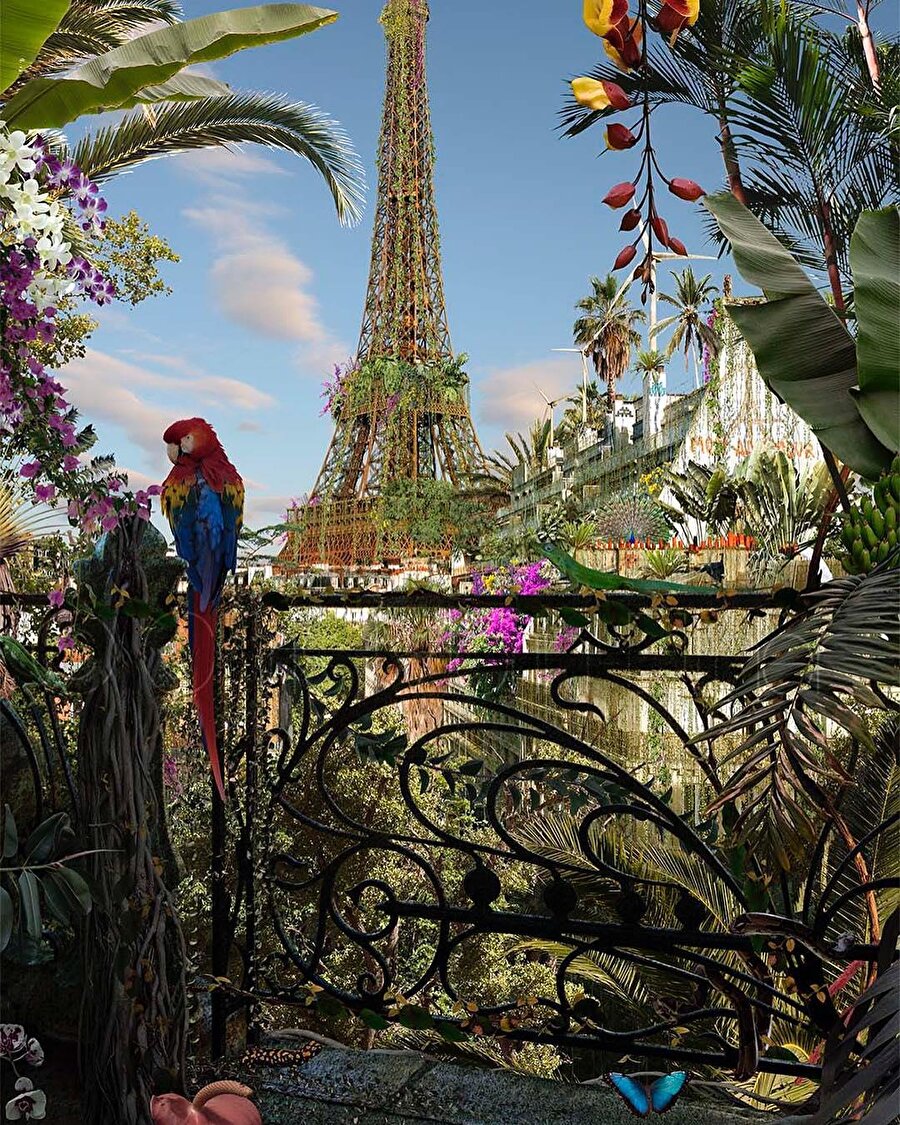 Fotoğraf sanatçısı Morin'in gözünden yarınlar 