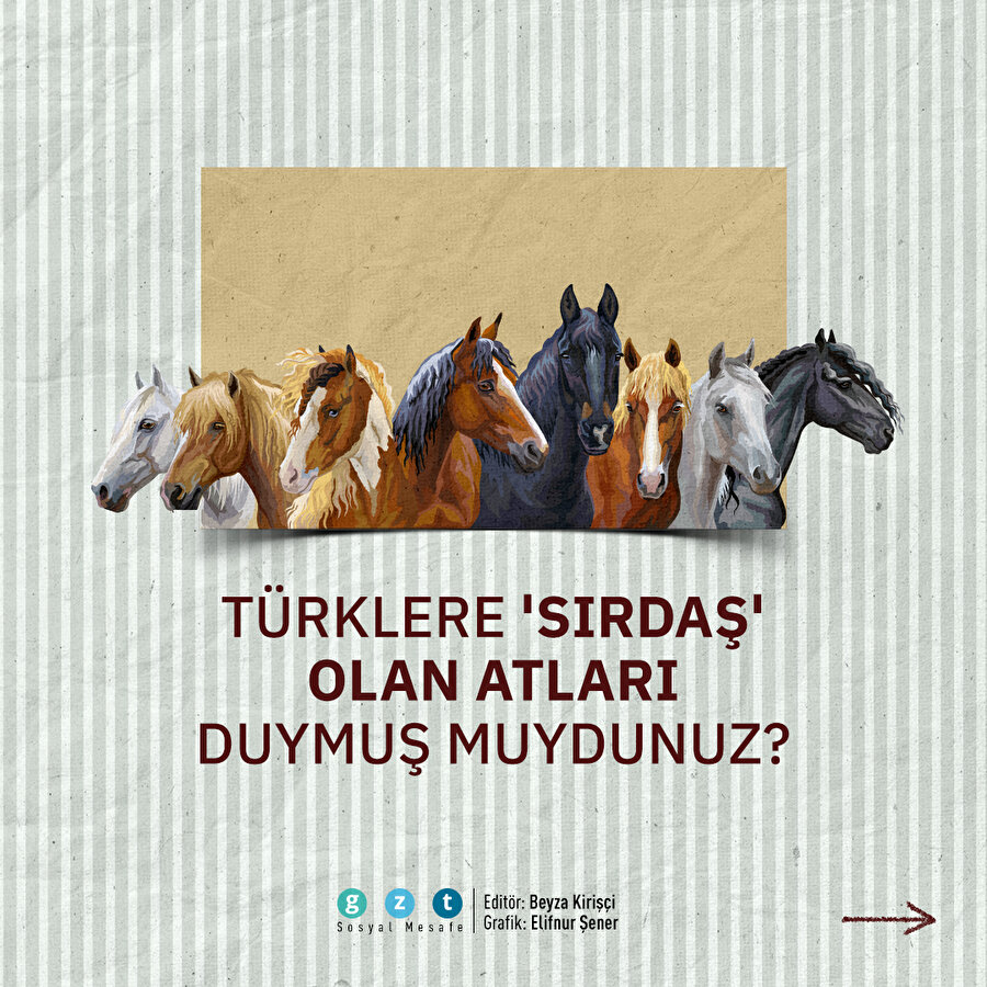 Türklerin efsanevi atları