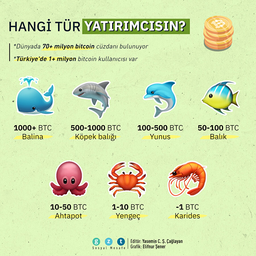 Bitcoin yatırımcıları ellerindeki miktara göre isimlendiriliyor