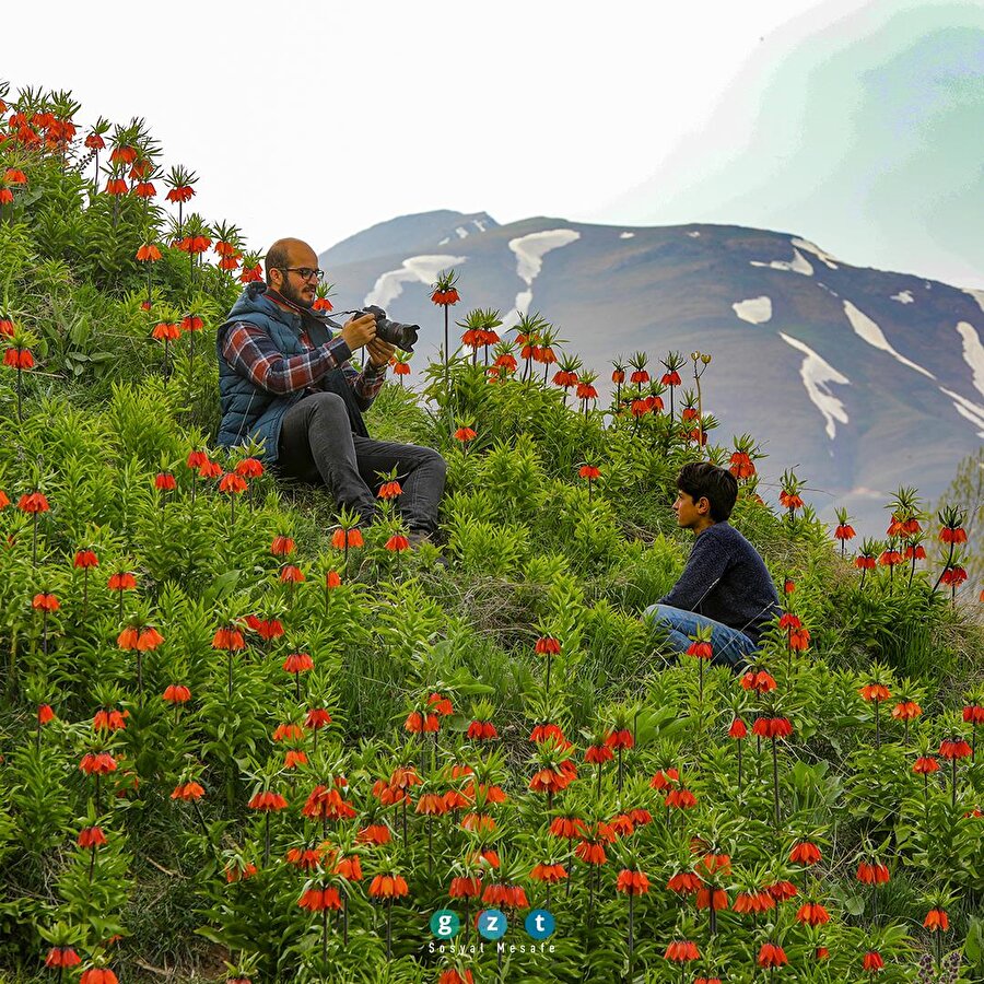 Ters laleler, güzellikleriyle dikkat çekiyor ☀️