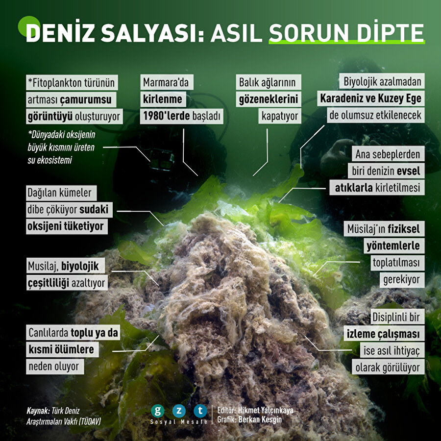 Deniz salyası tehlike saçıyor