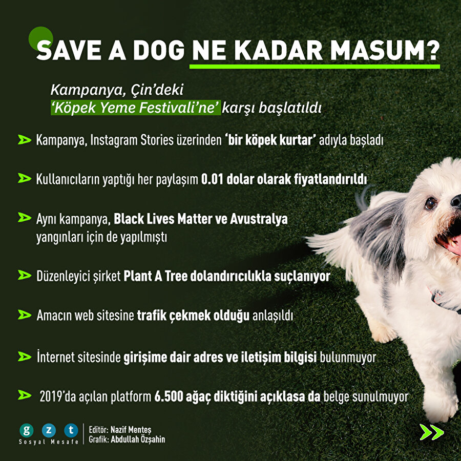 "Save a Dog" kampanyası ne kadar masum?