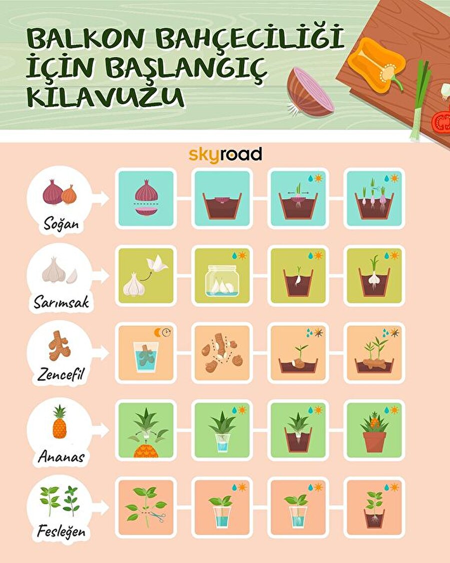 Balkon bahçeciliği için başlangıç kılavuzu 🌿