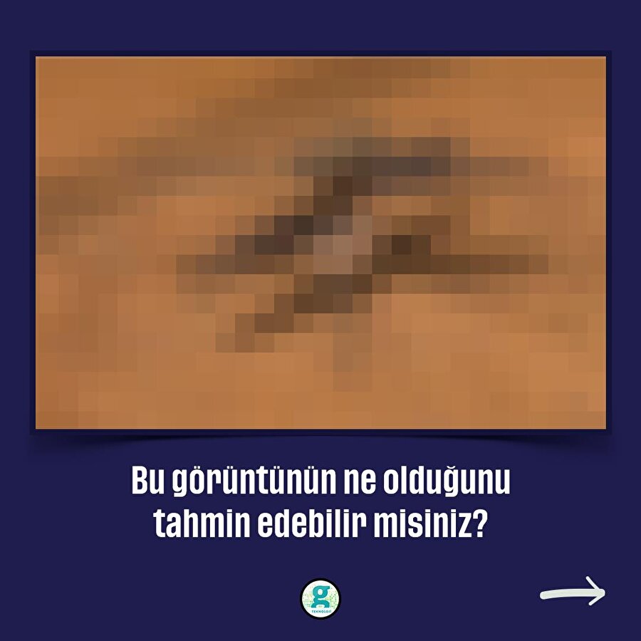 Bu görüntünün ne olduğunu tahmin edebilir misiniz?