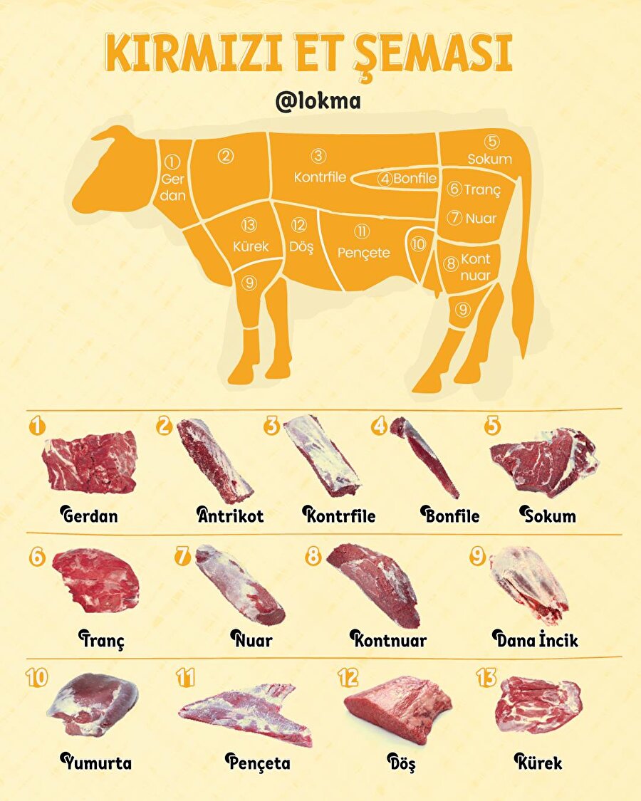 Kırmızı Et Şeması🥩 