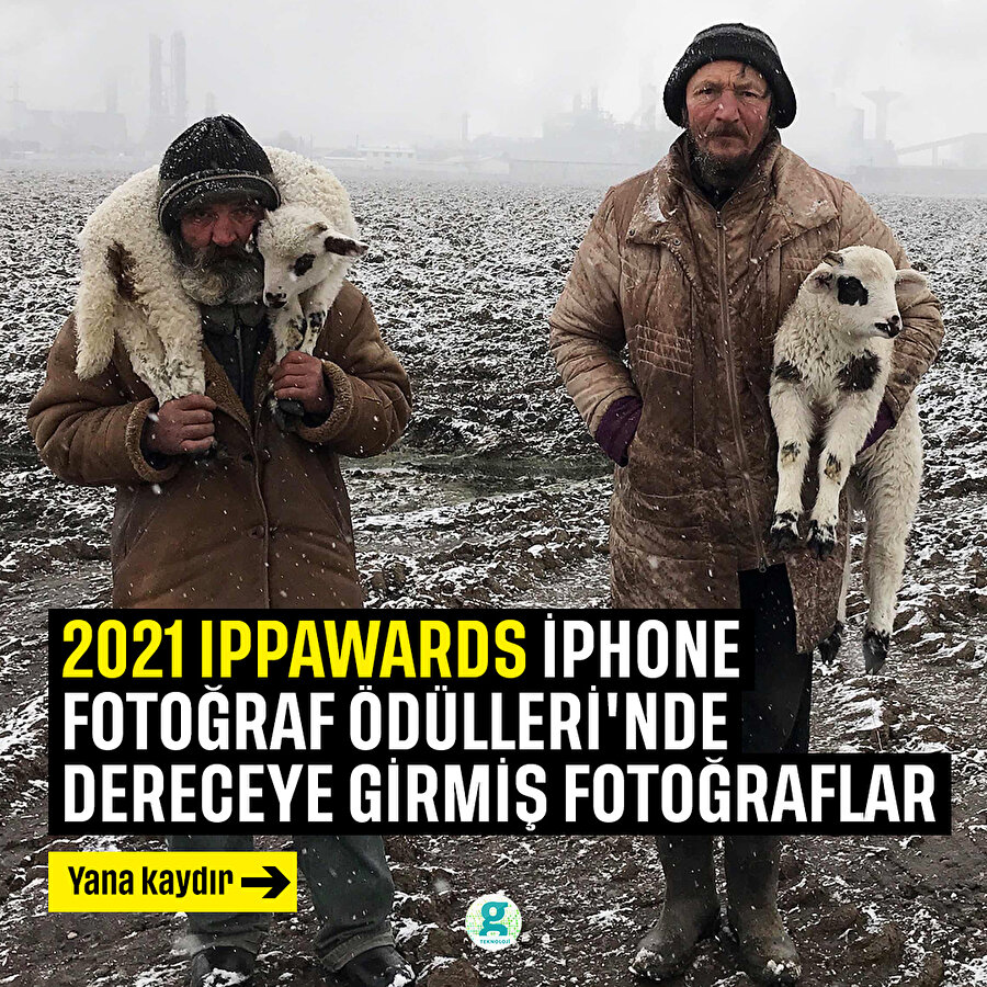2021 IPPAWARDS iPhone fotoğraf ödüllerinde dereceye giren fotoğraflar
