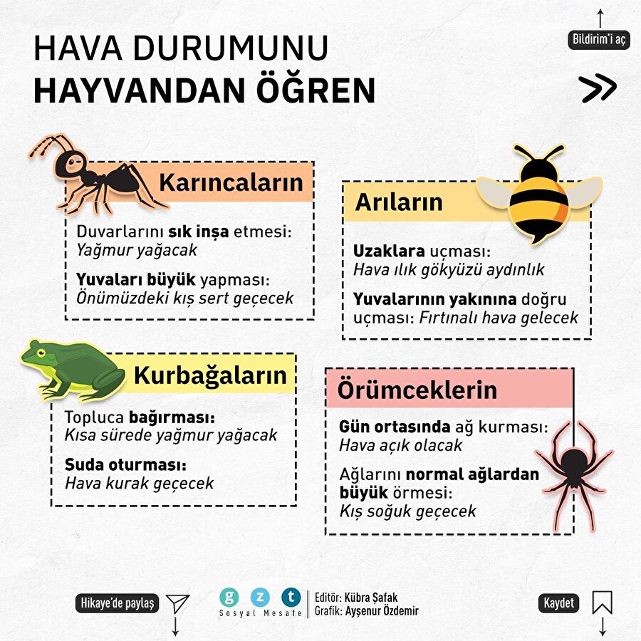 Teknoloji yokken hava durumu nasıl öğreniliyordu?