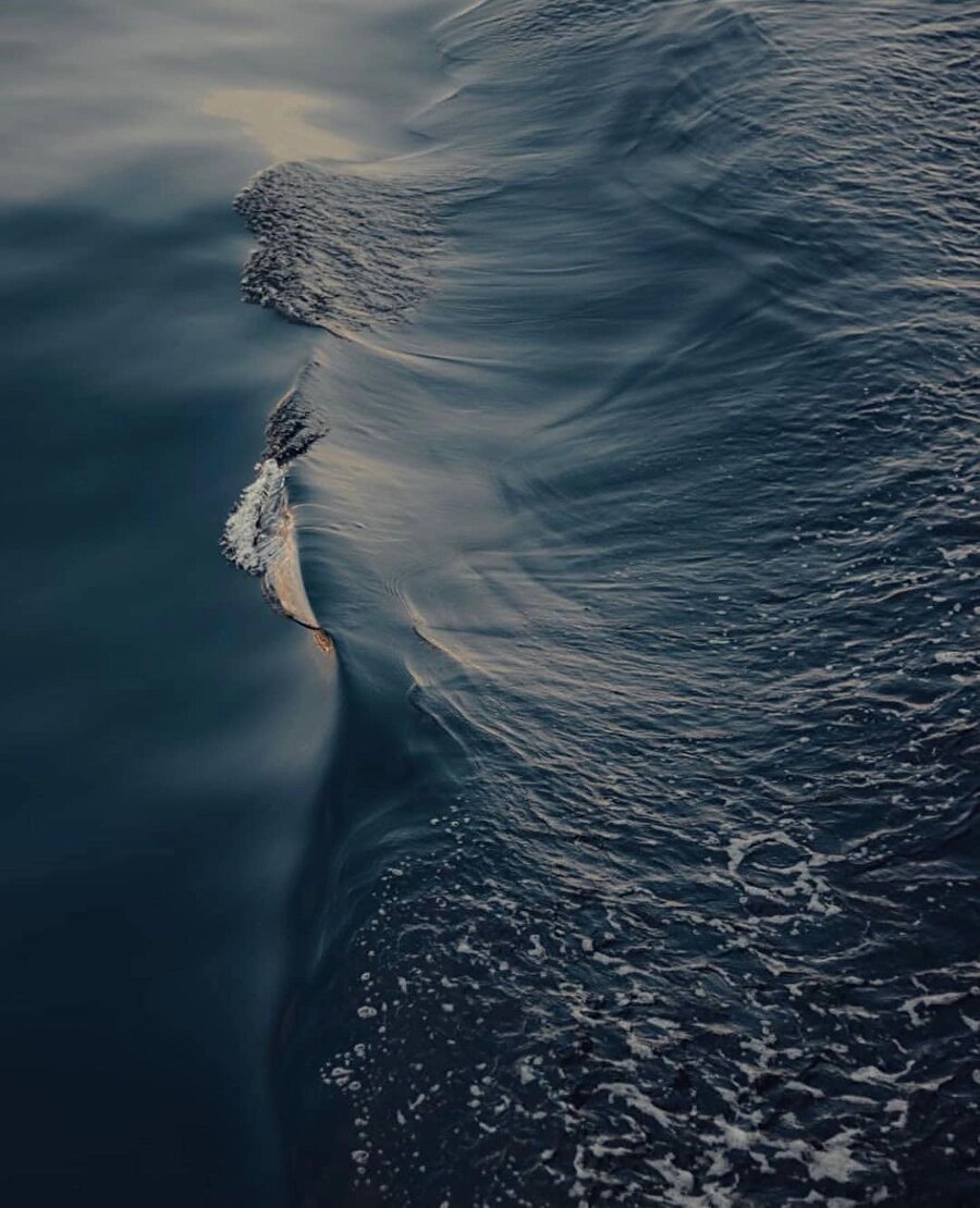 İnsan armağan ve yeteneklerinden vazgeçme cüretini nasıl gösterebilir?🤔