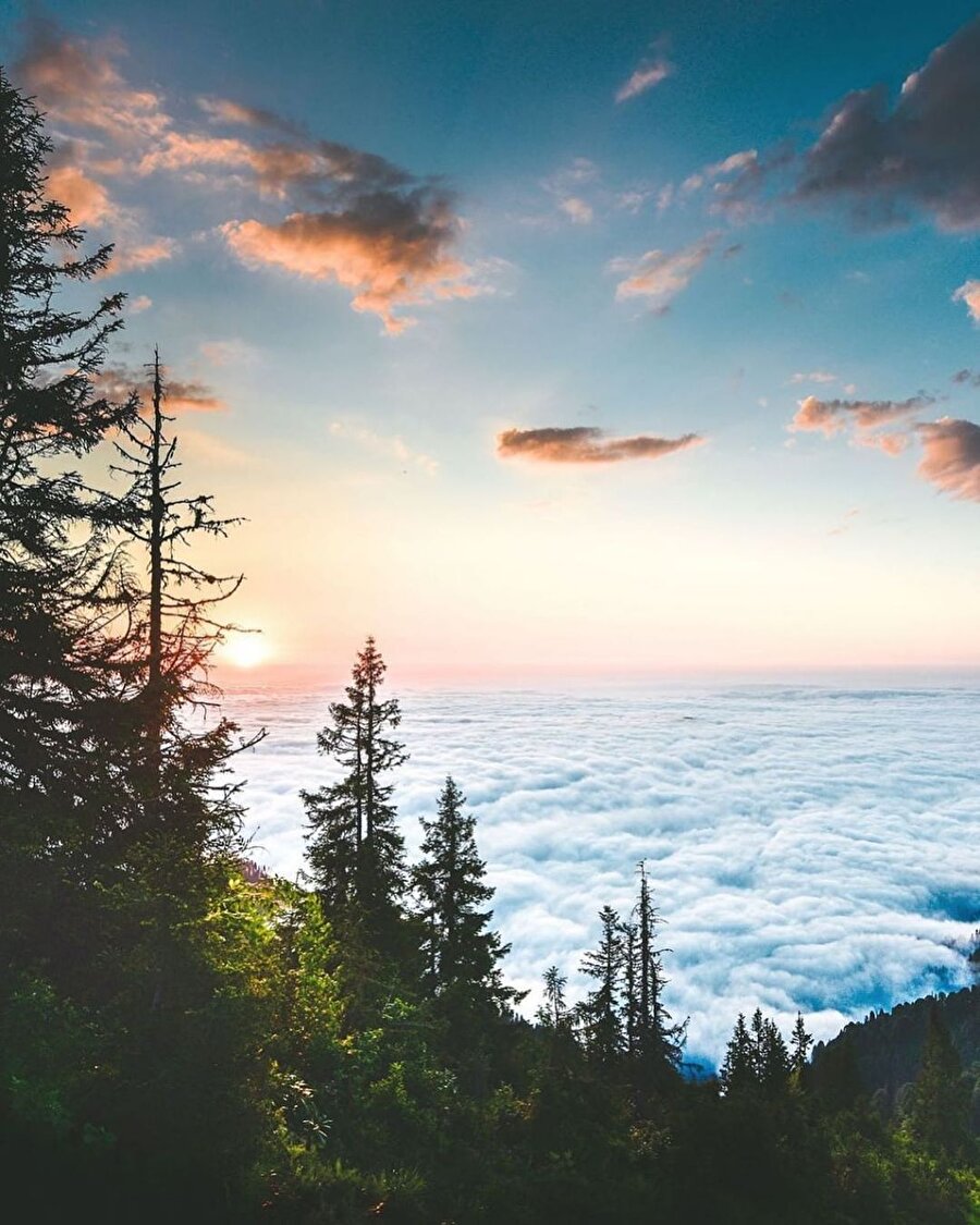 Pokut Yaylası'na komşu: Sal Yaylası🌟