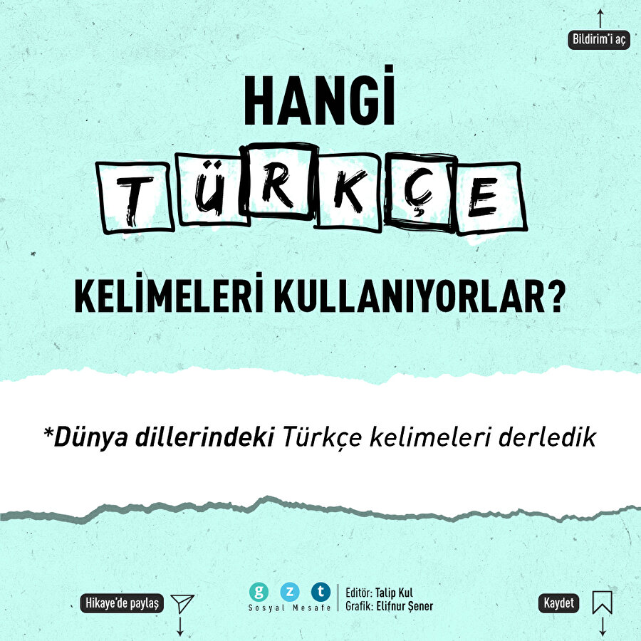 Türkçeden diğer dillere geçen kelimeler