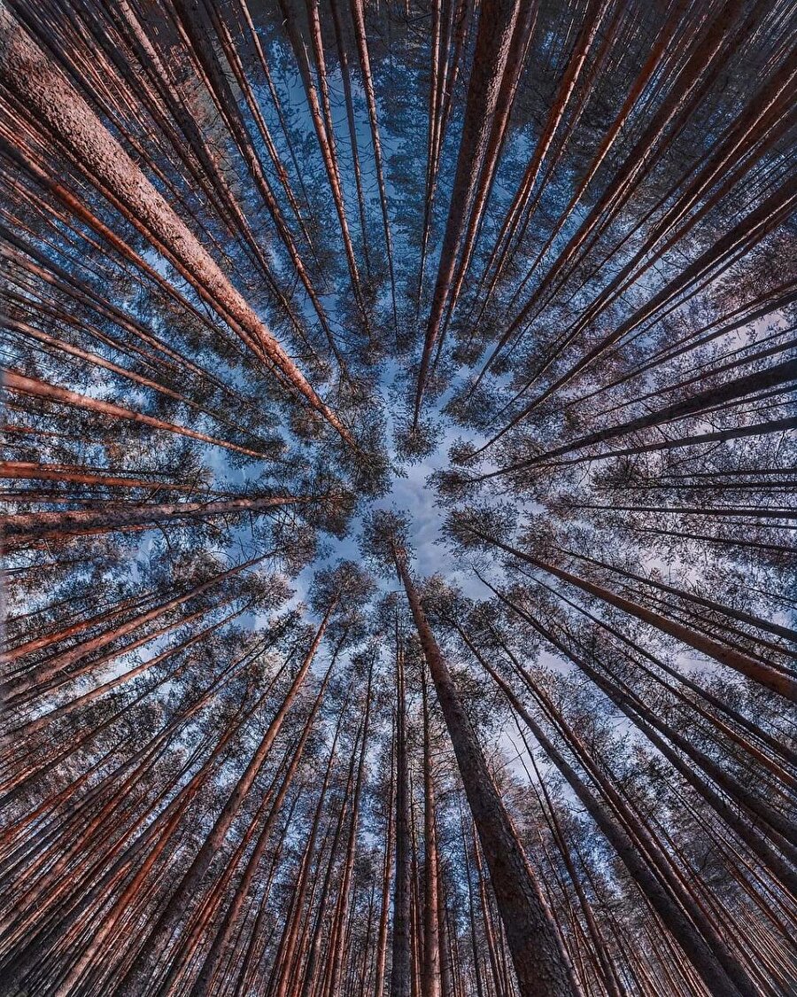 Kırık kalpler bütünü 💔