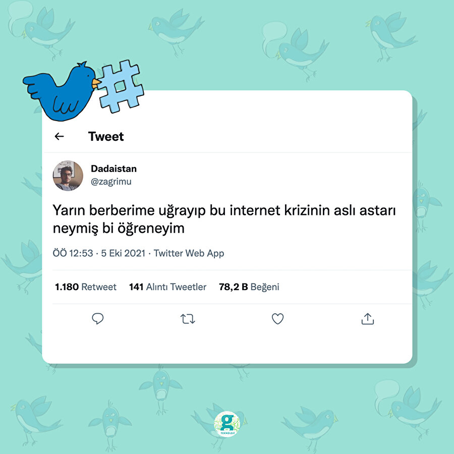 Berberler = ülkenin aydınlık yüzleri