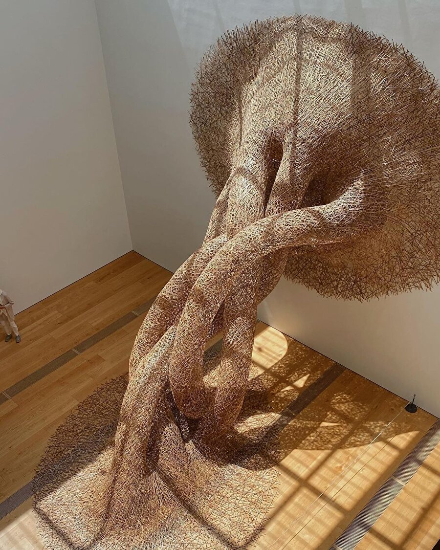 Chikuunsai IV'ün OMM'daki enstalasyonu🙌