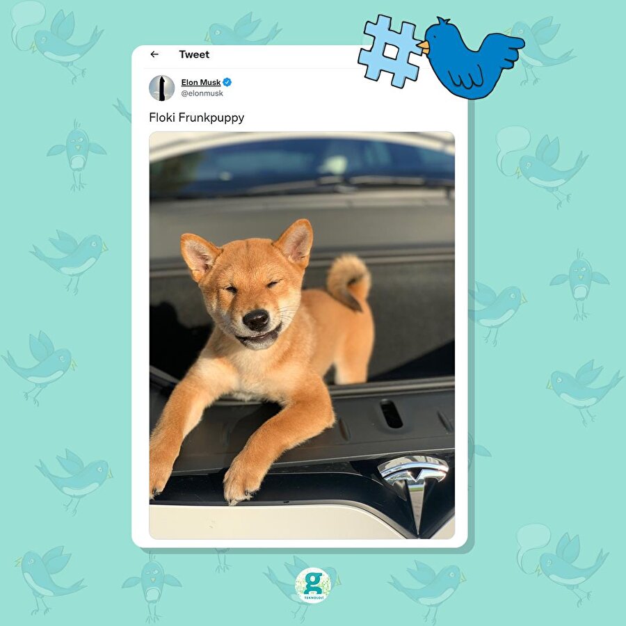 Elon Musk paylaşım yaptı, SHIB adlı kripto para rekor kırdı