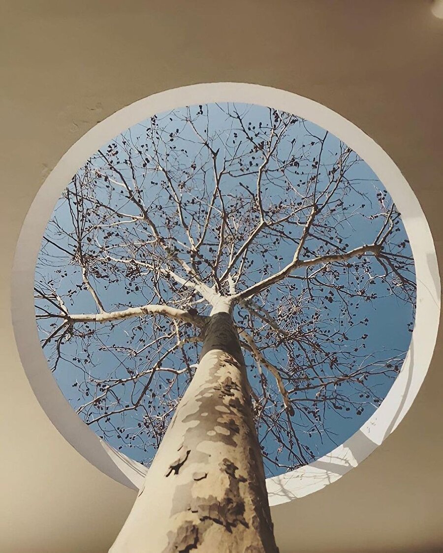 Bir yalana sığan soru: Nasılsın?🤔