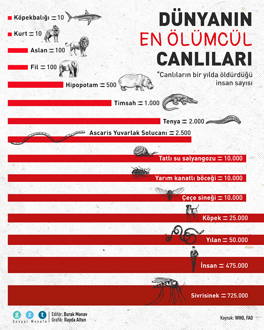 Dünyanın en ölümcül canlıları