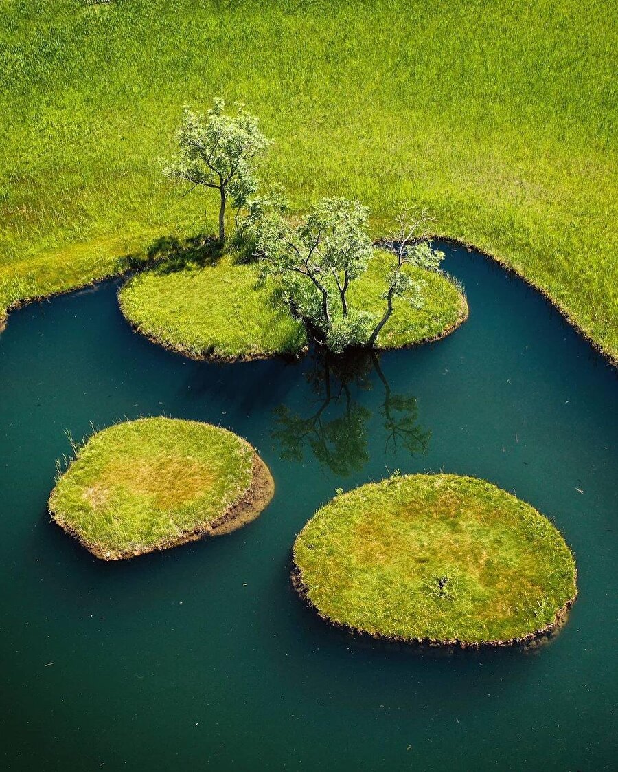 Luntik pornosini onlayn tomosha qiling