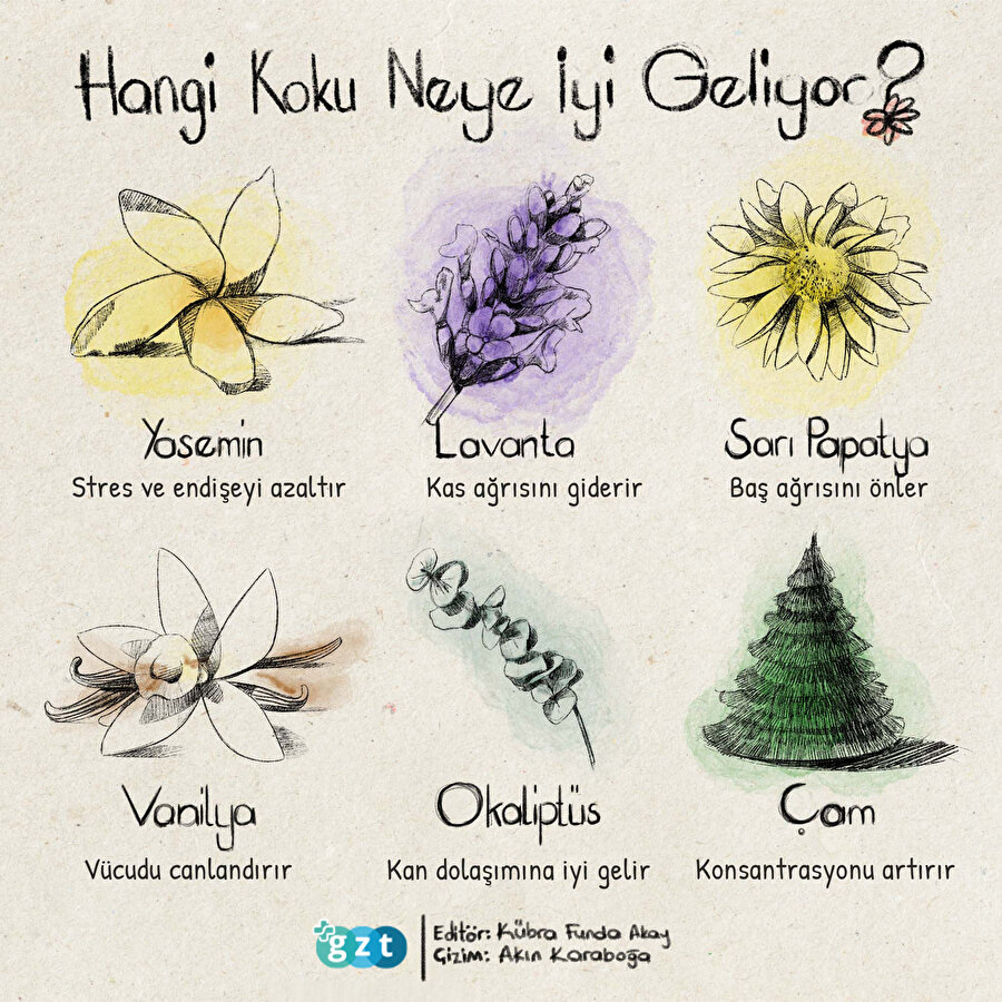 Hangi Koku Neye İyi Geliyor?