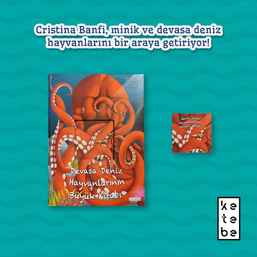 Devasa ve Minik Deniz Hayvanları 🐙🐠