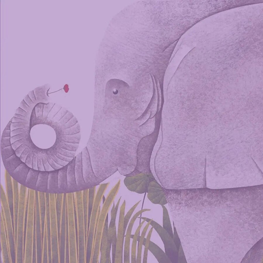 Devasa Hayvanların Büyük Kitabı & Minik Hayvanların Küçük Kitabı 🦏 🐦🐜