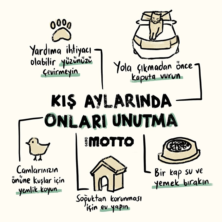 Kış aylarında sokaktaki dostlarımızı unutma 😔